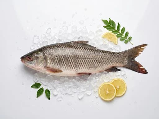 Freshwater
