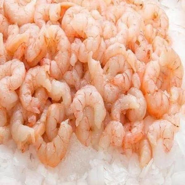 Sea Water Small Prowes