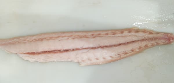 Mahi Mahi Boneless (Hapnus Fillet), માહી માહી