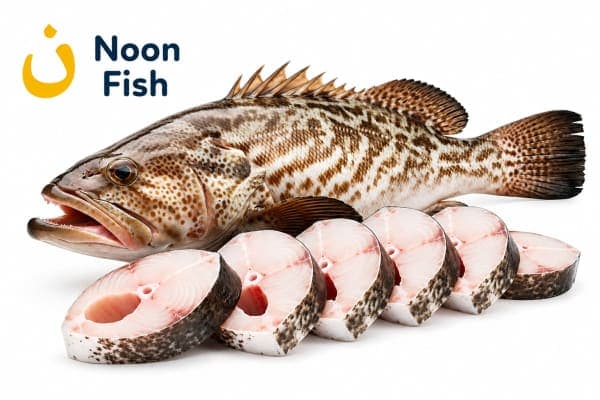 Hamour fish (વેખલી)