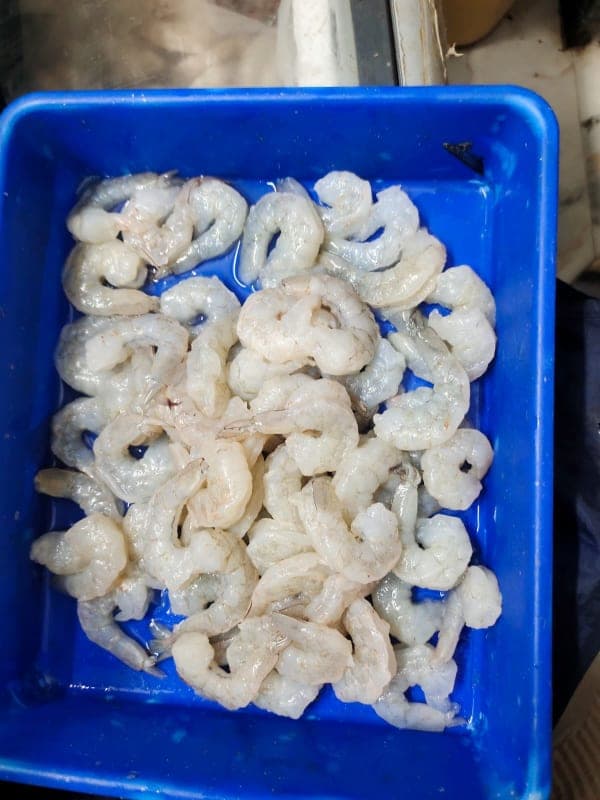 Vannamei prawns Medium